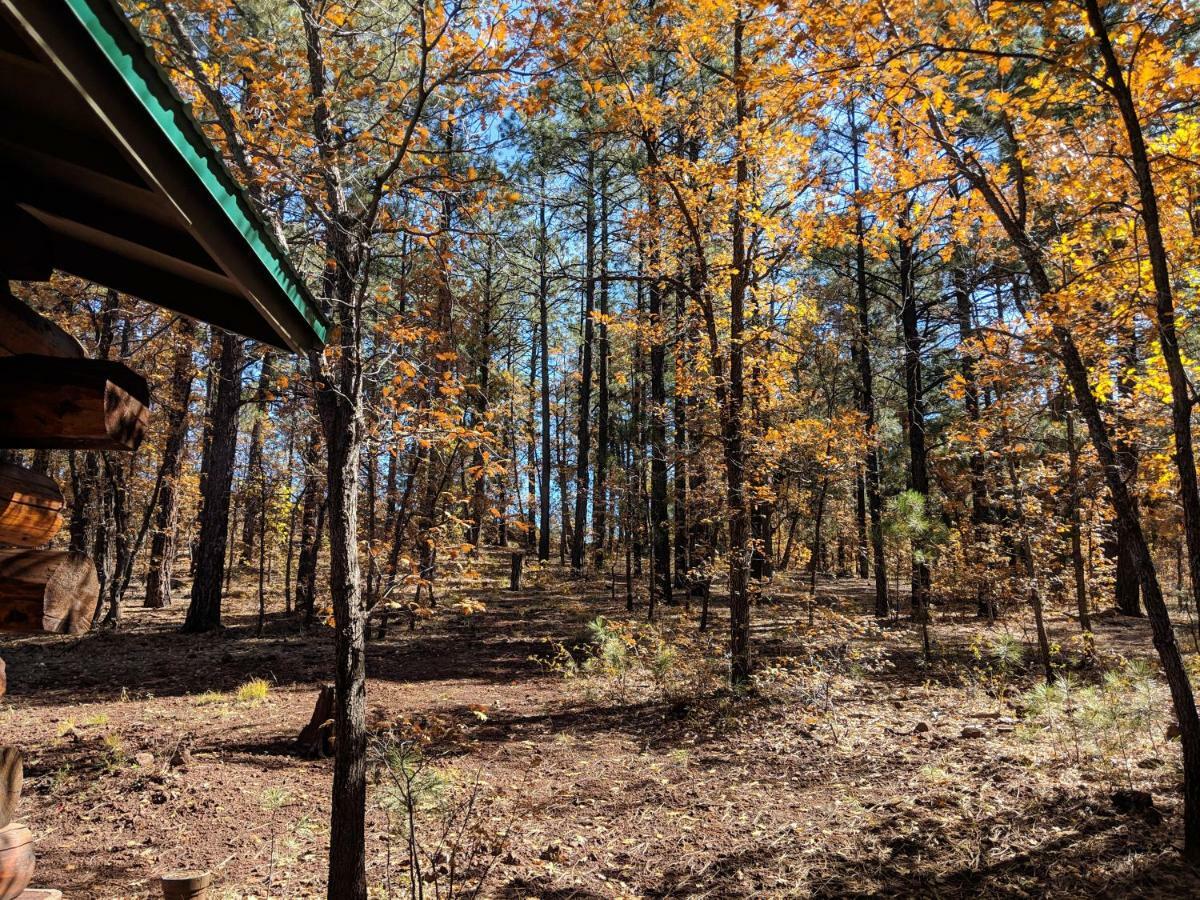 Cozy Cub Log Cabin - Year Round Tranquil Beauty Pinetop-Lakeside Zewnętrze zdjęcie