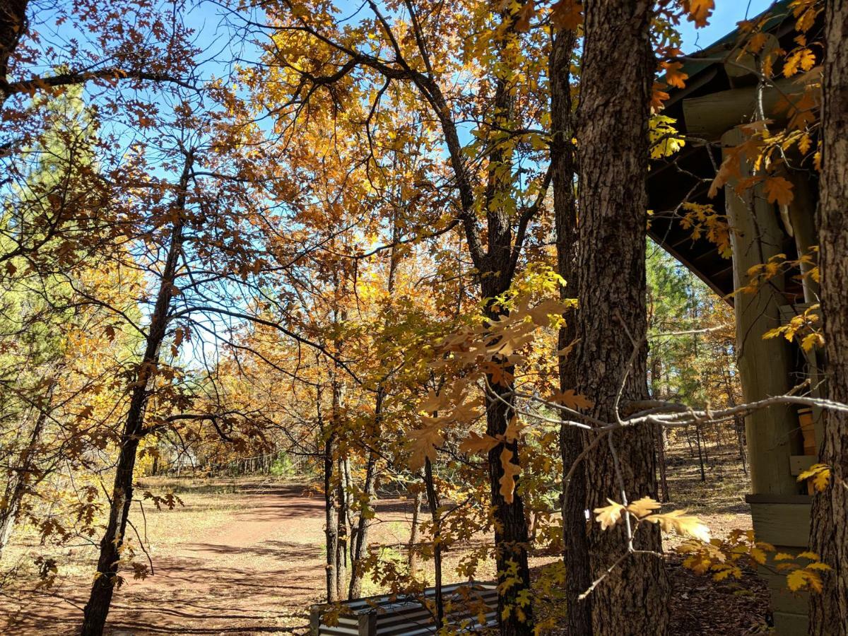 Cozy Cub Log Cabin - Year Round Tranquil Beauty Pinetop-Lakeside Zewnętrze zdjęcie