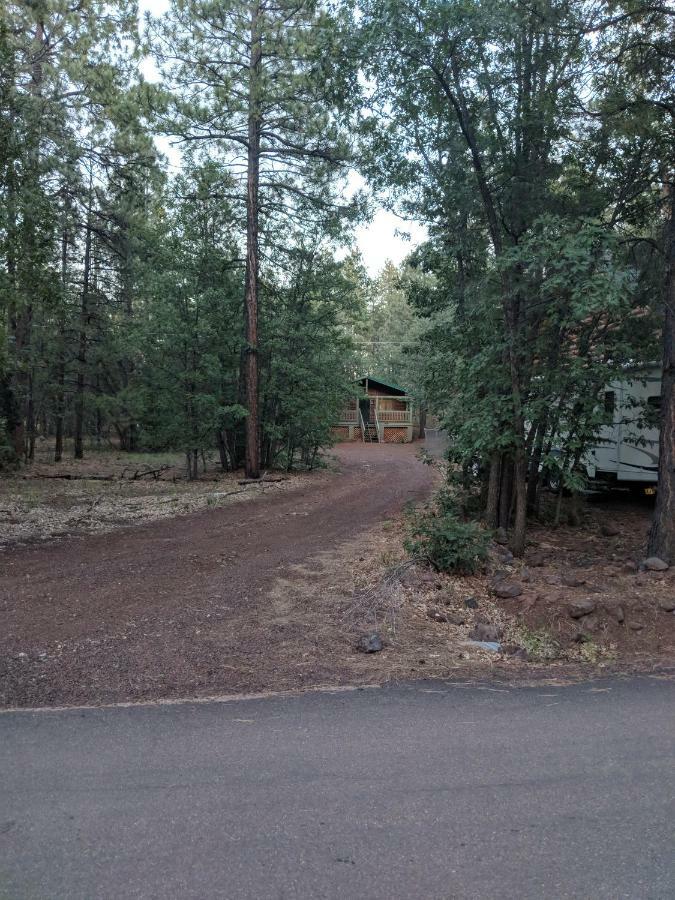 Cozy Cub Log Cabin - Year Round Tranquil Beauty Pinetop-Lakeside Zewnętrze zdjęcie